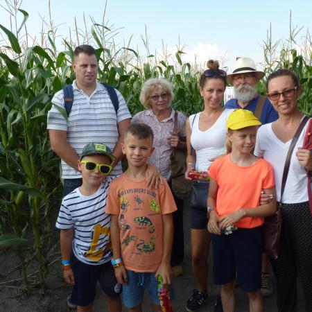 Nagyobb kép megtekintése