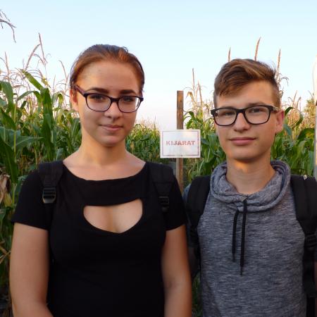Nagyobb kép megtekintése